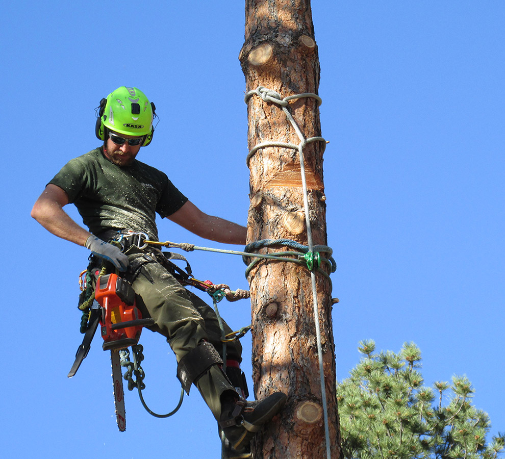 Arborist store climbing gear