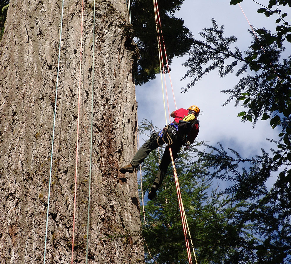 samson climbing rope