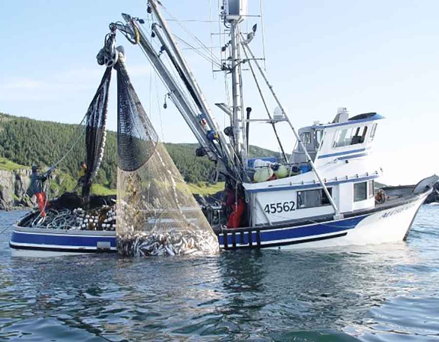 Commercial fishing boat hauling in a large catch using durable synthetic fishing rope by Samson Rope