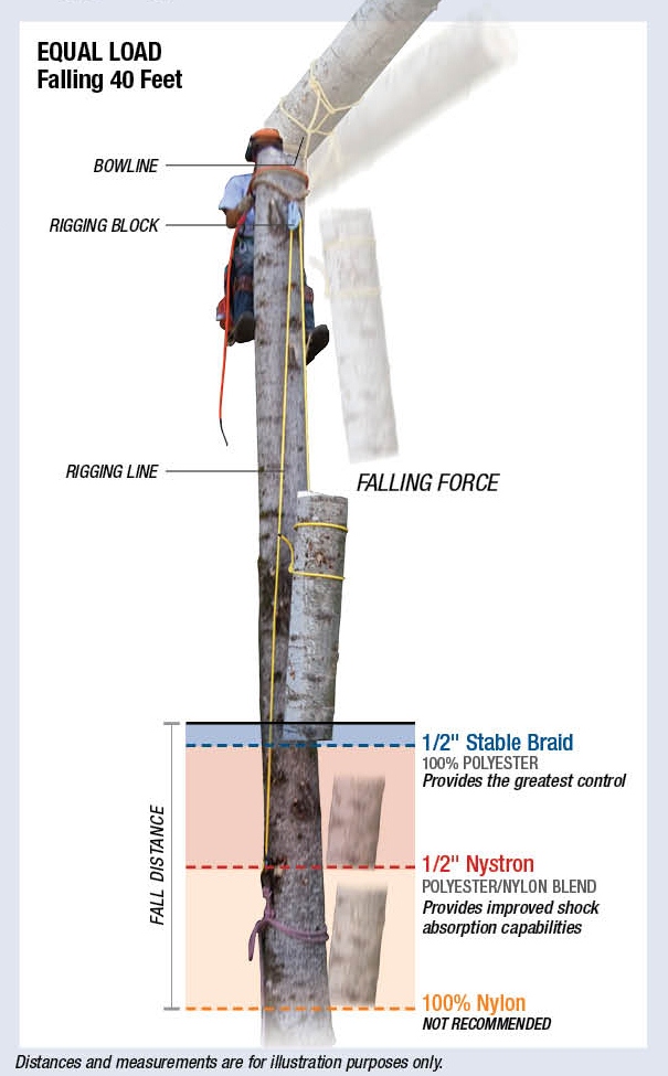 Energy Absorption_Image Energy Absorption_Image