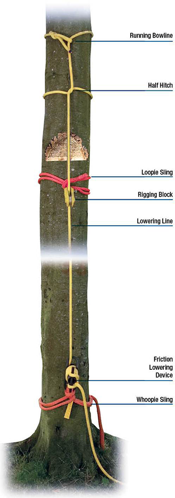 Technical Rigging Technical Rigging