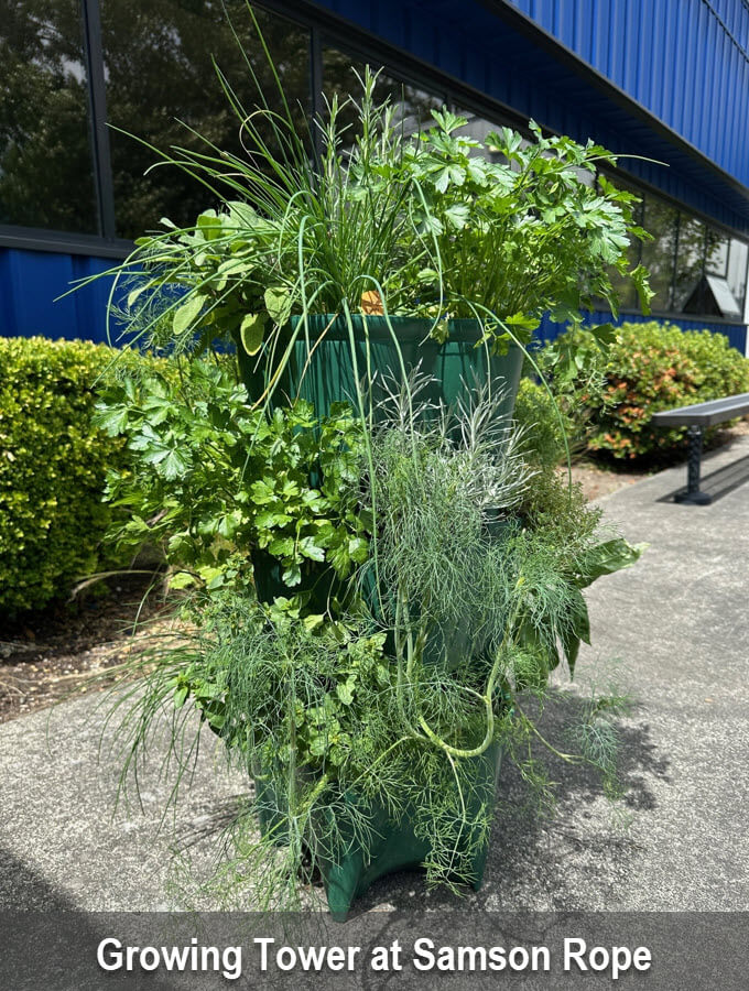Samson herb garden