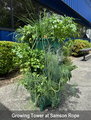 Samson Herb Garden Samson herb garden